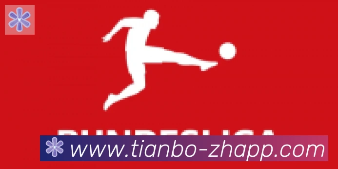 天博官网合作伙伴