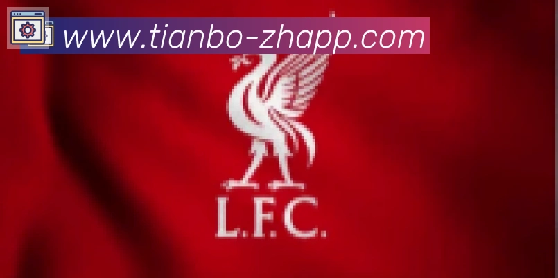 天博官网合作伙伴